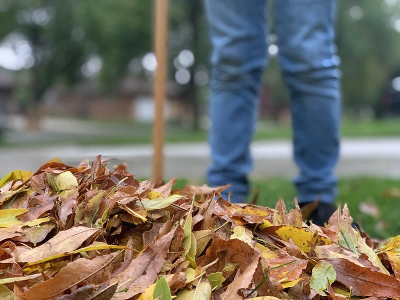 Raking Practices